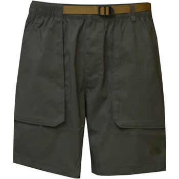 Abbigliamento Uomo Shorts / Bermuda The North Face NF0A81WZ Verde