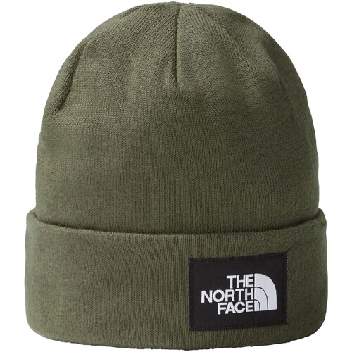 Accessori Cappelli The North Face NF0A3FNT Verde