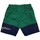 Abbigliamento Bambino Costume / Bermuda da spiaggia Champion 305311 Verde