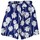 Abbigliamento Bambino Costume / Bermuda da spiaggia Champion 304398 Blu