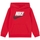 Abbigliamento Bambino Felpe Nike 86G703 Rosso
