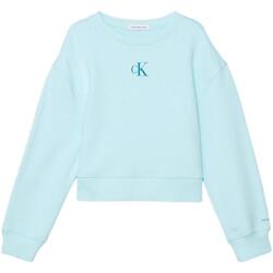 Abbigliamento Bambina Felpe Calvin Klein Jeans  Blu