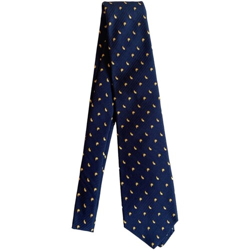 Abbigliamento Uomo Cravatte e accessori Kiton UCRVKRC01I2501000 Blu