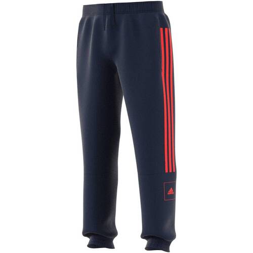 Abbigliamento Bambino Pantaloni da tuta adidas Originals FL2813 Blu