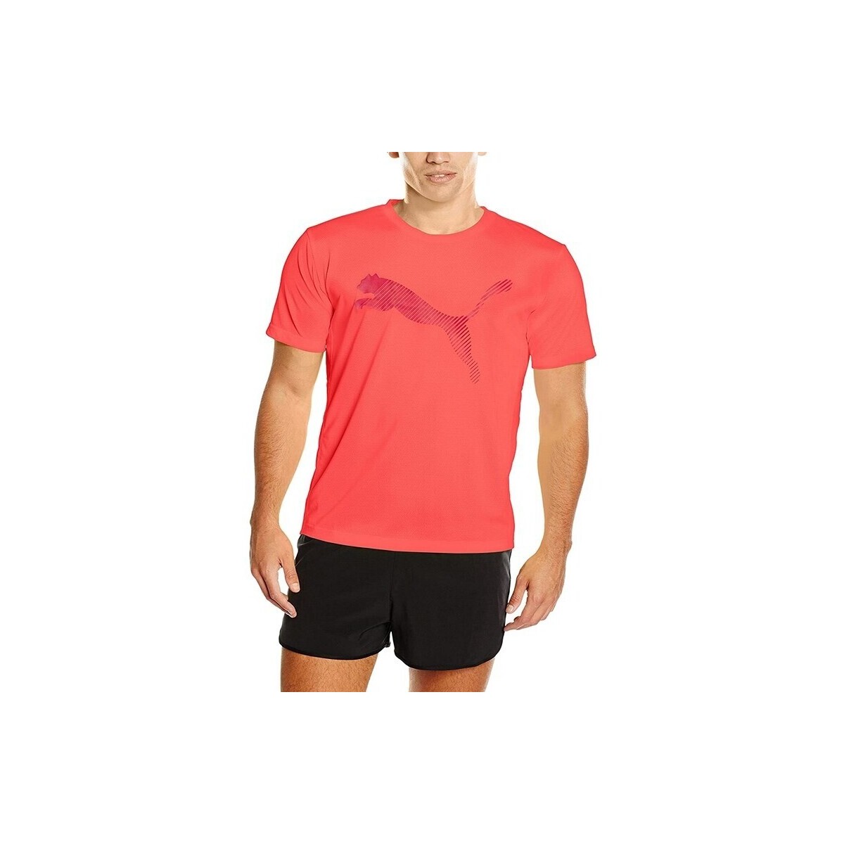Abbigliamento Uomo T-shirt maniche corte Puma 514578 Arancio
