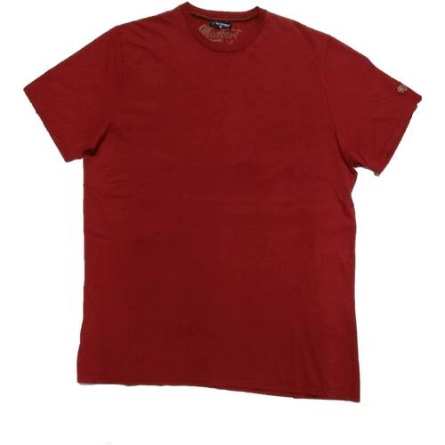 Abbigliamento Uomo T-shirt maniche corte Max Fort 31532 Marrone