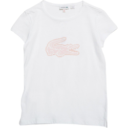 Abbigliamento Bambina T-shirt maniche corte Lacoste TJ8048 Bianco