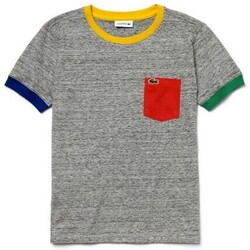 Abbigliamento Bambino T-shirt maniche corte Lacoste TJ3871 Grigio