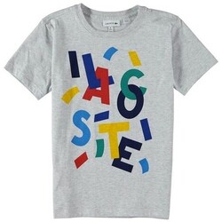 Abbigliamento Bambino T-shirt maniche corte Lacoste TJ6181 Grigio
