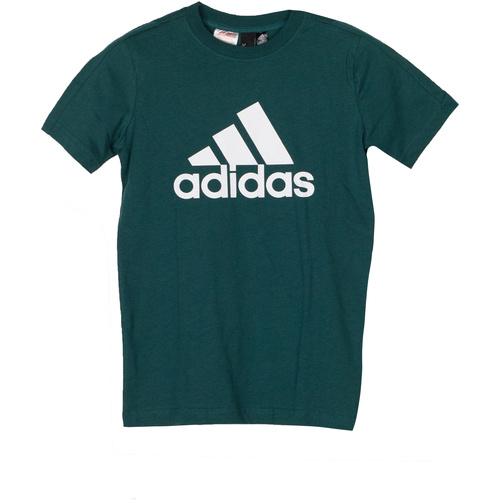 Abbigliamento Bambino T-shirt maniche corte adidas Originals DJ1773 Verde