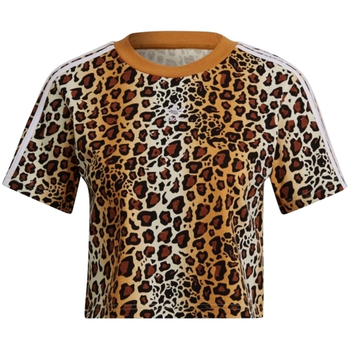 Abbigliamento Donna T-shirt maniche corte adidas Originals HB4755 Multicolore