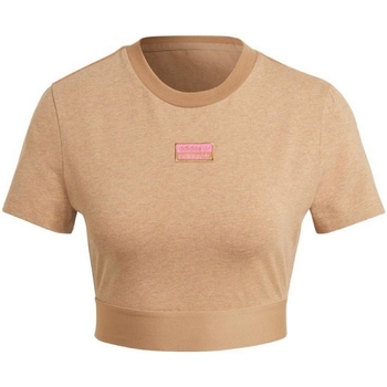 Abbigliamento Donna T-shirt maniche corte adidas Originals GN4327 Beige