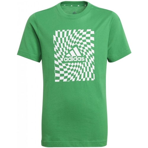 Abbigliamento Bambino T-shirt maniche corte adidas Originals GN1475 Verde