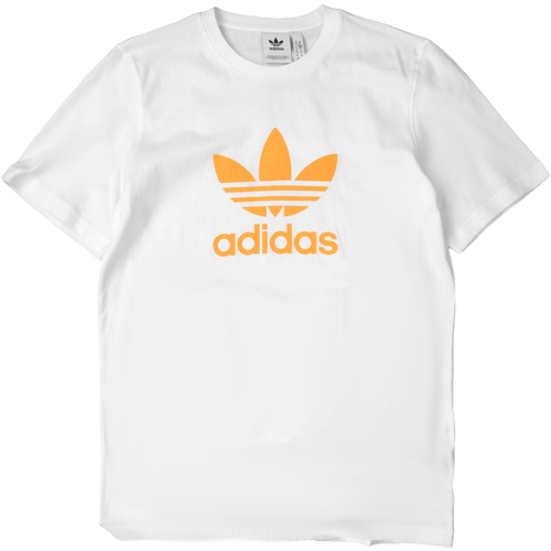 Abbigliamento Uomo T-shirt maniche corte adidas Originals GN3486 Bianco