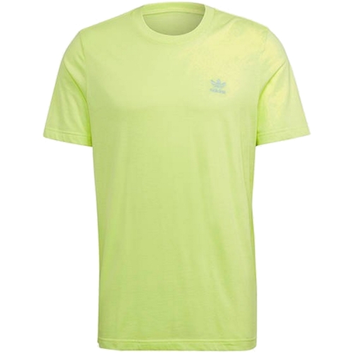 Abbigliamento Uomo T-shirt maniche corte adidas Originals GN3403 Verde