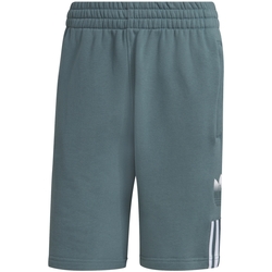 Abbigliamento Uomo Shorts / Bermuda adidas Originals GN3591 Verde