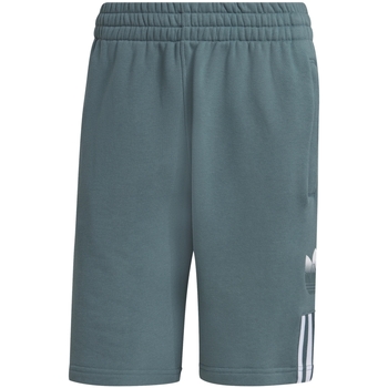 Abbigliamento Uomo Shorts / Bermuda adidas Originals GN3591 Verde