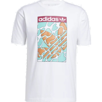 Abbigliamento Uomo T-shirt maniche corte adidas Originals GN3900 Bianco