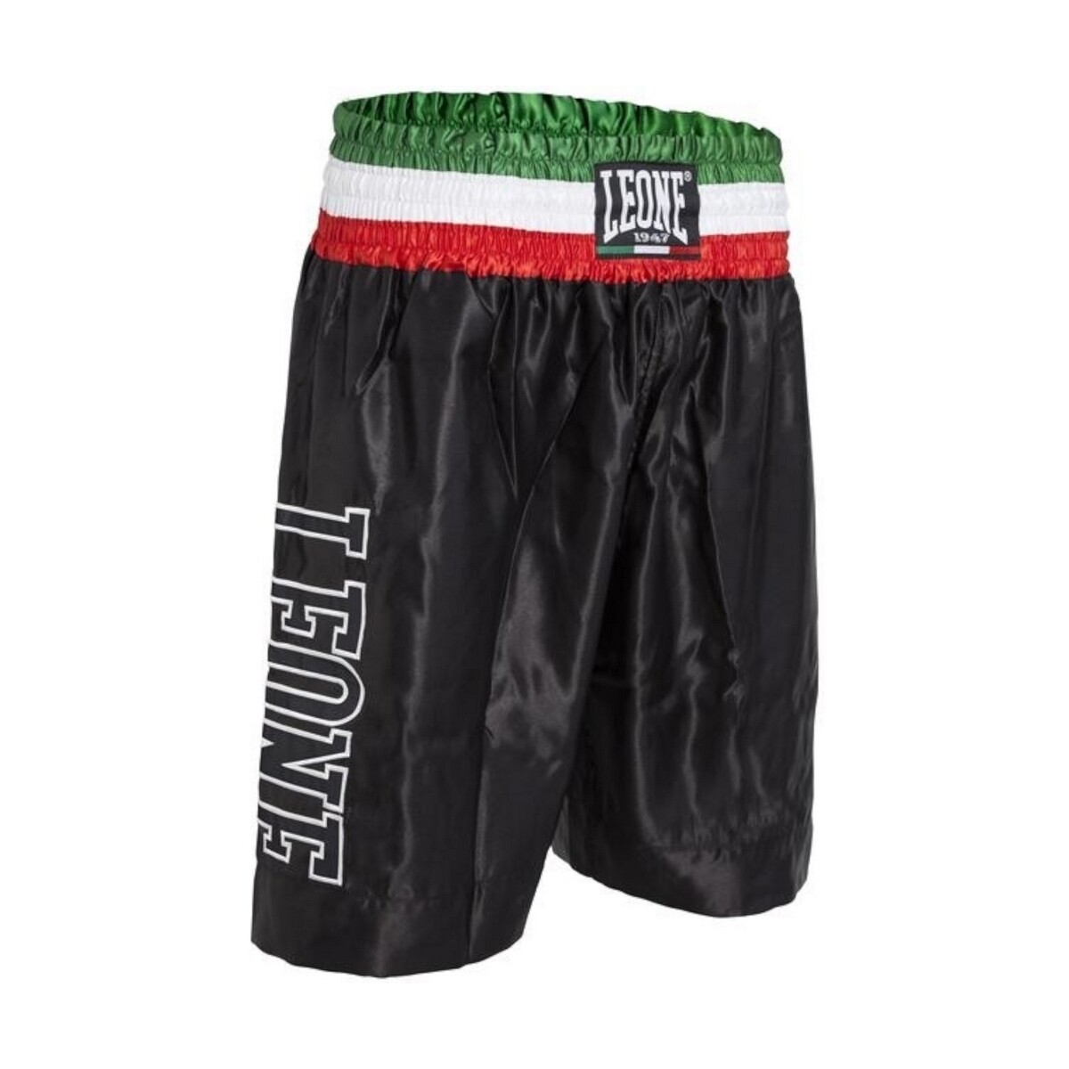 Abbigliamento Uomo Shorts / Bermuda Leone AB733 Nero
