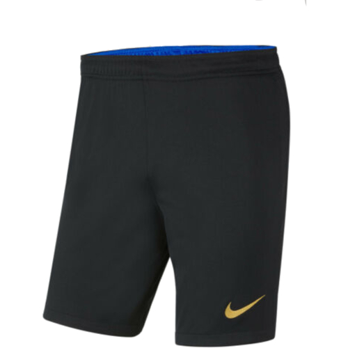 Abbigliamento Uomo Shorts / Bermuda Nike CV8153 Nero