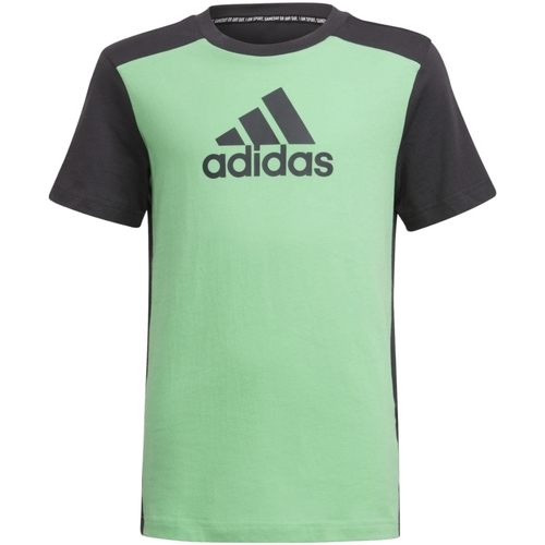 Abbigliamento Bambino T-shirt maniche corte adidas Originals H28891 Verde