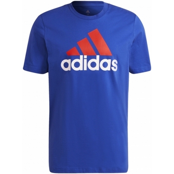 Abbigliamento Uomo T-shirt maniche corte adidas Originals H12174 Blu