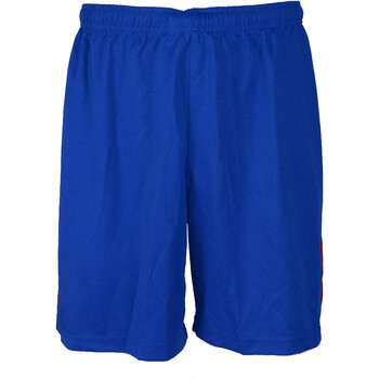 Abbigliamento Uomo Shorts / Bermuda Lotto L5034 Blu