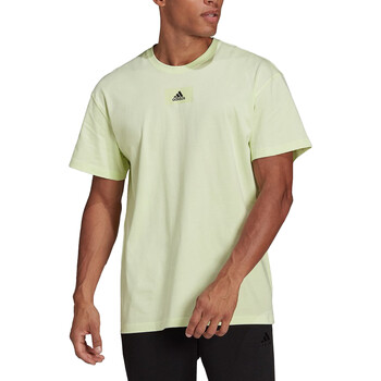 Abbigliamento Uomo T-shirt maniche corte adidas Originals HE4366 Verde