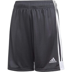 Abbigliamento Uomo Shorts / Bermuda adidas Originals DP3255 Grigio