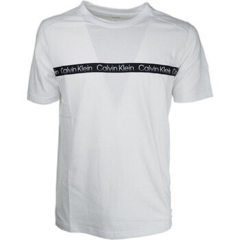 Abbigliamento Uomo T-shirt maniche corte Calvin Klein Jeans 00GMS2K115 Bianco