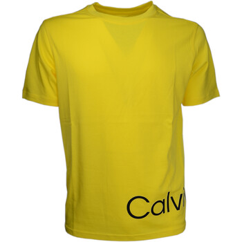 Abbigliamento Uomo T-shirt maniche corte Calvin Klein Jeans 00GMS2K111 Giallo