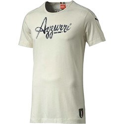 Abbigliamento Uomo T-shirt maniche corte Puma 746950 Bianco