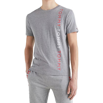 Abbigliamento Uomo T-shirt maniche corte Tommy Hilfiger UM0UM02132 Grigio
