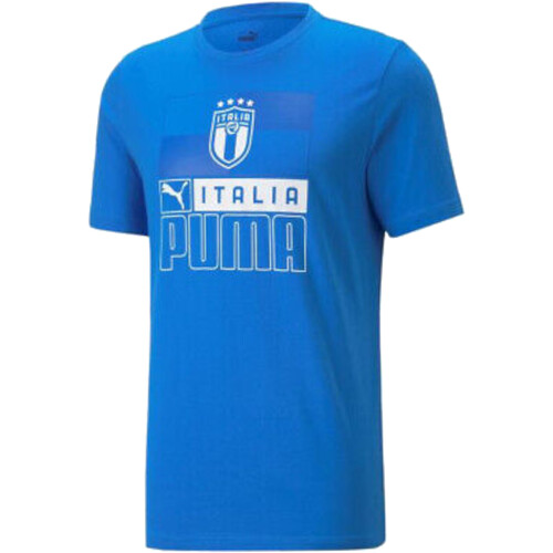 Abbigliamento Uomo T-shirt maniche corte Puma 767122 Blu