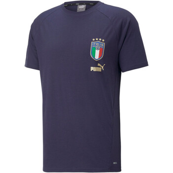 Abbigliamento Uomo T-shirt maniche corte Puma 767119 Blu