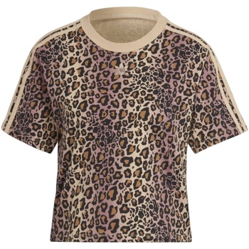Abbigliamento Donna T-shirt maniche corte adidas Originals HK5185 Multicolore