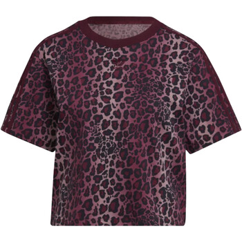 Abbigliamento Donna T-shirt maniche corte adidas Originals HK5183 Viola