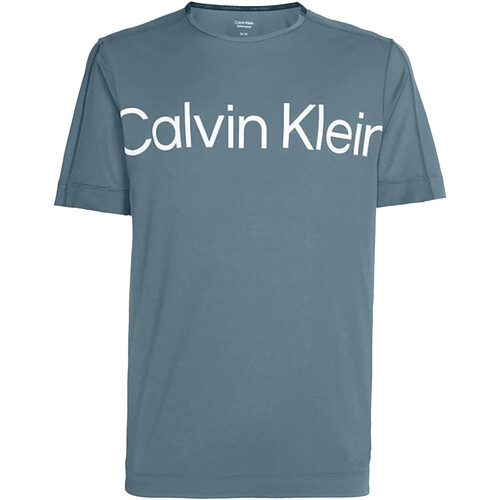 Abbigliamento Uomo T-shirt maniche corte Calvin Klein Jeans 00GMS3K102 Verde