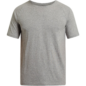 Abbigliamento Uomo T-shirt maniche corte Energetics 422484 Grigio