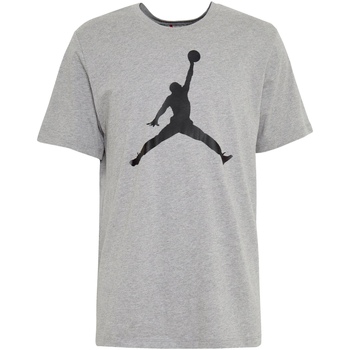 Abbigliamento Uomo T-shirt maniche corte Nike CJ0921 Grigio