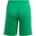 Abbigliamento Bambino Shorts / Bermuda adidas Originals GN5762 Verde