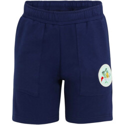 Abbigliamento Bambino Shorts / Bermuda Fila FAK0188 Blu