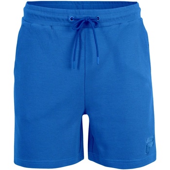 Abbigliamento Uomo Shorts / Bermuda Fila FAM0311 Verde