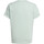 Abbigliamento Bambino T-shirt maniche corte adidas Originals IB9152 Verde