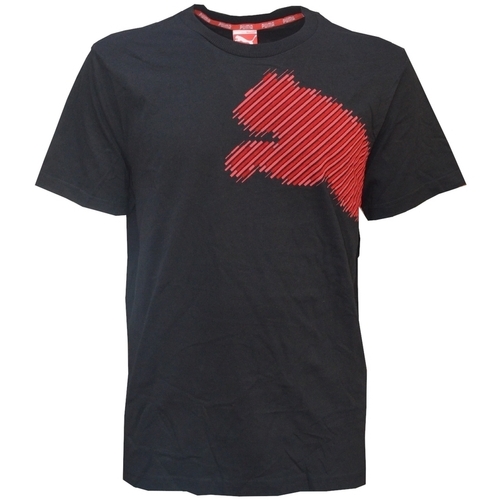 Abbigliamento Uomo T-shirt maniche corte Puma 815461 Nero
