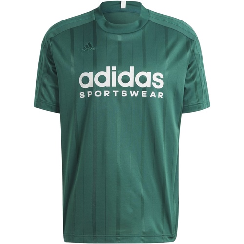 Abbigliamento Uomo T-shirt maniche corte adidas Originals IQ0894 Verde
