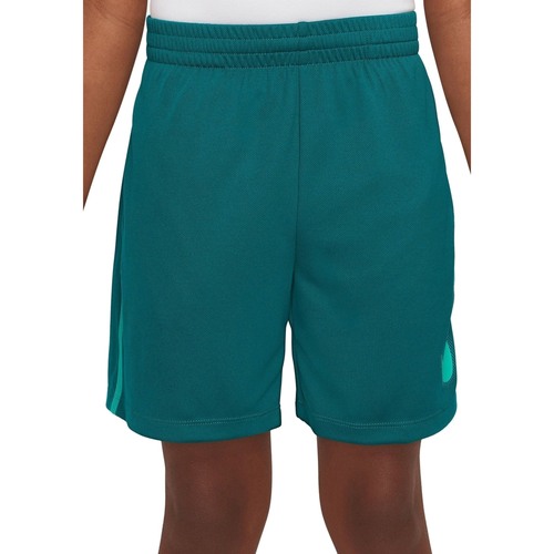 Abbigliamento Bambino Shorts / Bermuda Nike DX5361 Verde