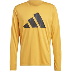 Abbigliamento Uomo T-shirts a maniche lunghe adidas Originals IL2196 Arancio