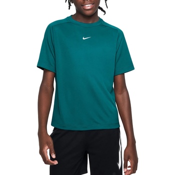 Abbigliamento Uomo T-shirt maniche corte Nike DV9839 Verde