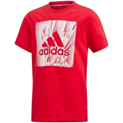 Abbigliamento Bambino T-shirt maniche corte adidas Originals ED7246 Rosso